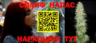 индика Можга
