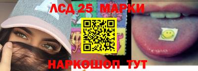 индика Можга