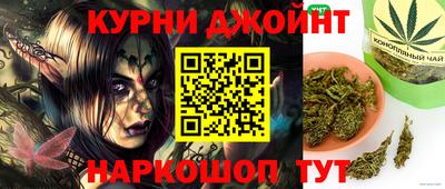 индика Можга