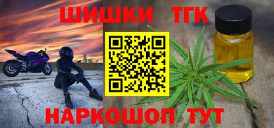 индика Можга