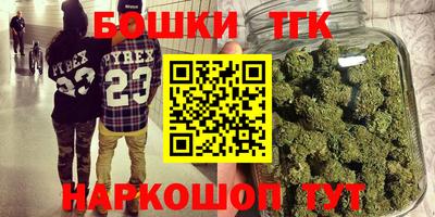 индика Можга